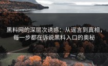 黑料网的深层次诱惑：从谣言到真相，每一步都在诉说黑料入口的奥秘